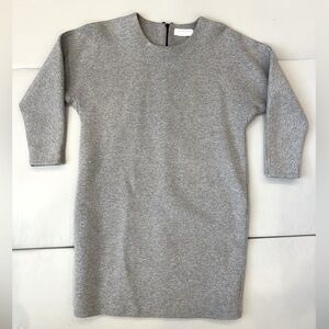Everlane Gray Dress (Size XS)